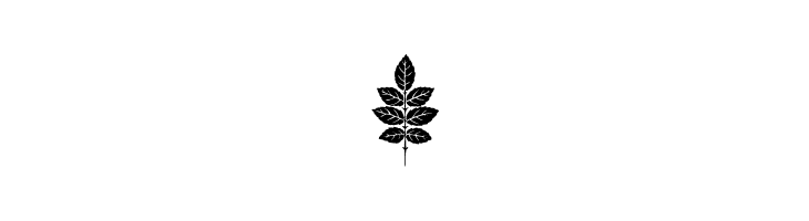 PlantenNBlomen  Free Fonts Download