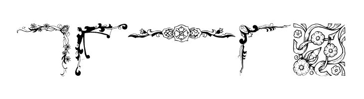 TypoGraphicEdges  Free Fonts Download