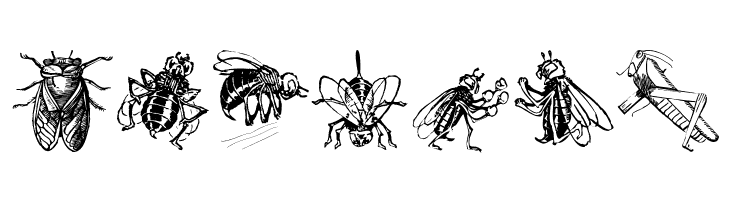 Insects  Free Fonts Download