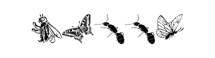 Insects  Free Fonts Download