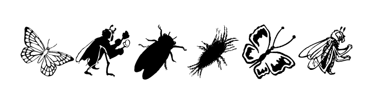 Insects  Free Fonts Download