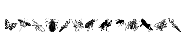 Insects  Free Fonts Download