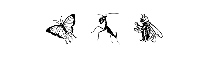 Insects  Free Fonts Download