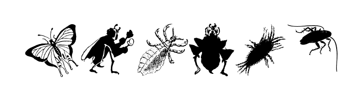 Insects  Free Fonts Download