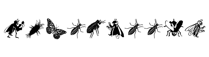 Insects  Free Fonts Download