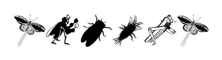 Insects  Free Fonts Download