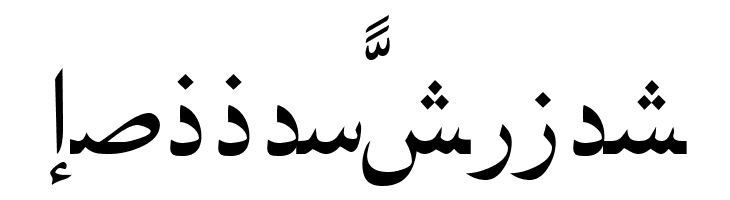 PersianNaskhSSK  Free Fonts Download