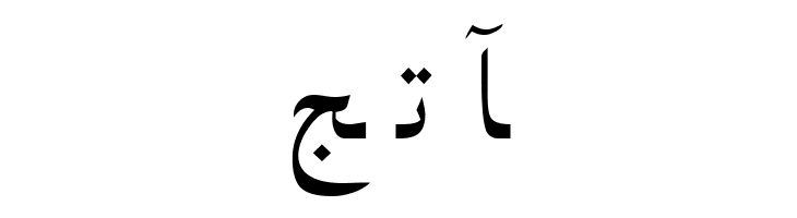 PersianNaskhSSK  Free Fonts Download