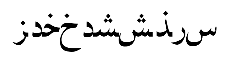 PersianNaskhSSK  Free Fonts Download