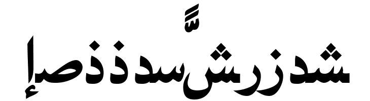 PersianNaskhSSK Bold  Free Fonts Download