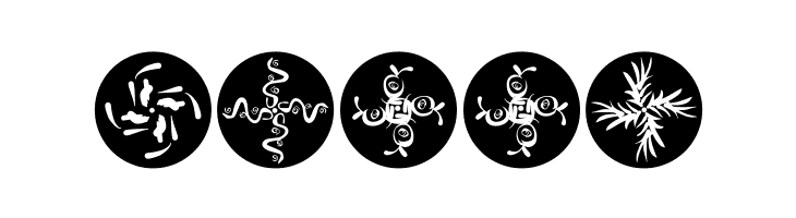 OhRosettaDiscus  Free Fonts Download