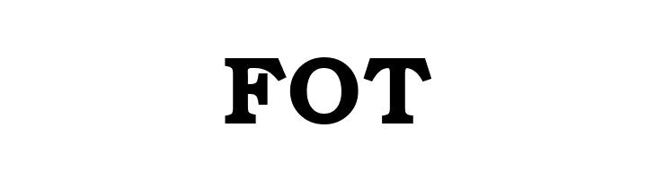 FOT ER Bukinist KOI-8 Bold Font