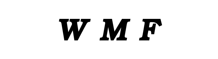ER Bukinist KOI-8 Bold Italic  Free Fonts Download
