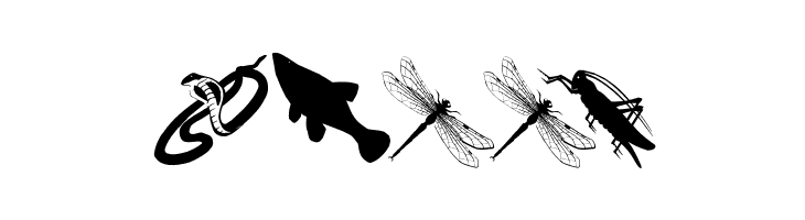 AnimalishSilhouettes  Free Fonts Download