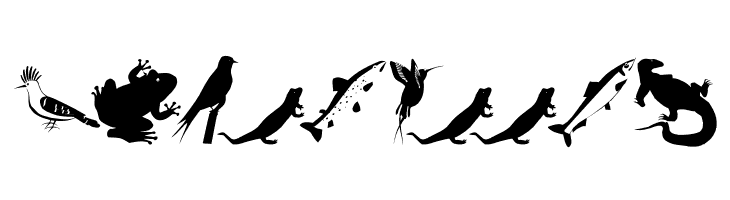AnimalishSilhouettes  Free Fonts Download