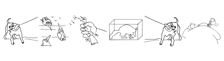 LastWit  Free Fonts Download