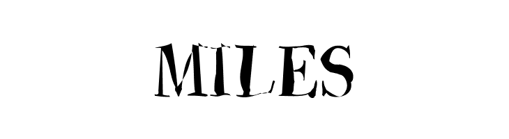 Brandomi-Medium  Free Fonts Download