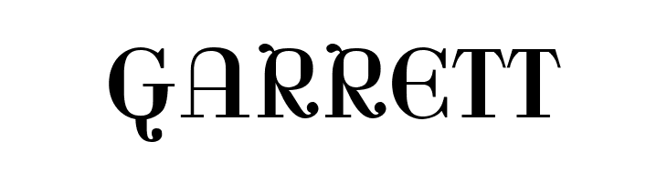 Rina-Regular  Free Fonts Download