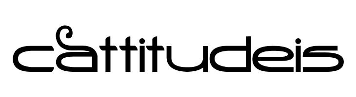 Stealth Magnum  Free Fonts Download