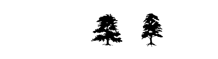 SubiktoTreebeta  Free Fonts Download