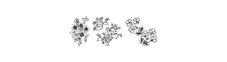 KR Floral Color Me  Free Fonts Download