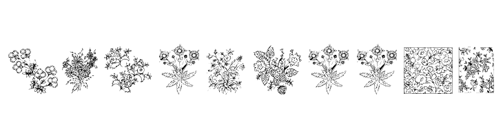 KR Floral Color Me  Free Fonts Download