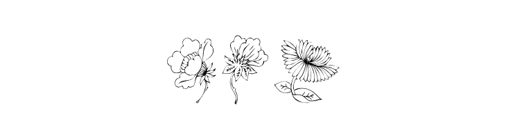 KR Floral Color Me 2  Free Fonts Download