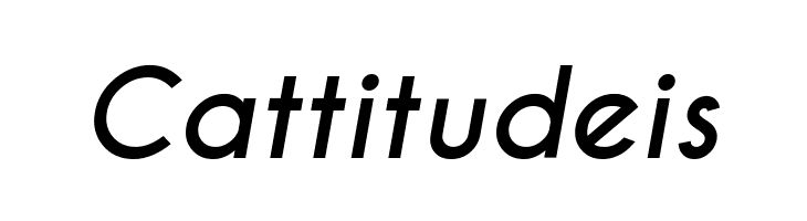 Caviar Dreams Bold Italic  Free Fonts Download