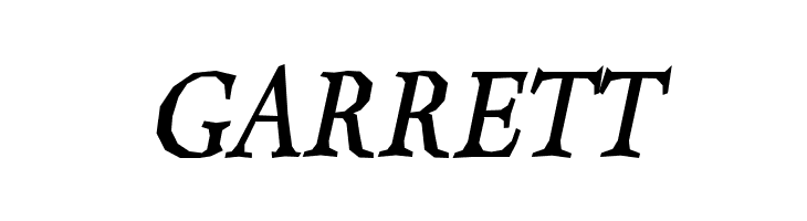 Berylium Bold Italic  Free Fonts Download