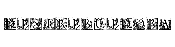 Wadsworth's_Industria  Free Fonts Download