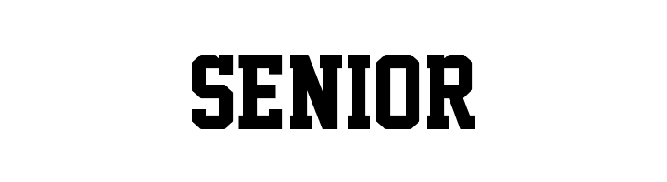 SENIOR Academic M54 Font
