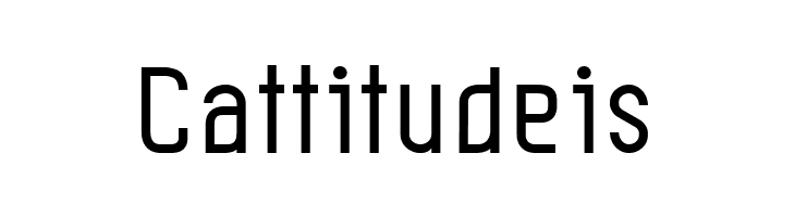 Leicht book  Free Fonts Download