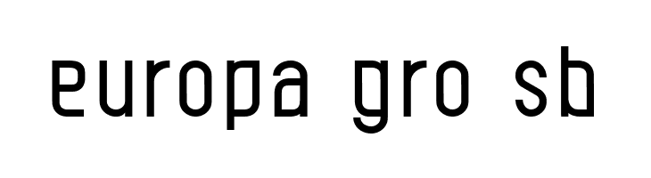 Leicht book  Free Fonts Download