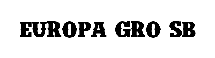 IFC INSANE RODEO BOLD Bold  Free Fonts Download
