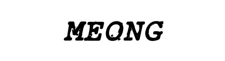 Rough_Typewriter Bold Italic  Free Fonts Download