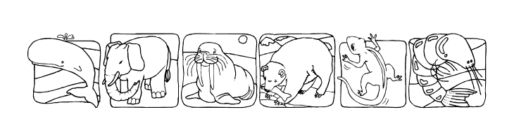 LMS Zoo and Aquarium Life Ding Bat  Free Fonts Download