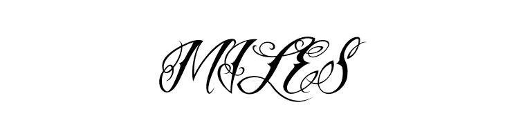 Vtc-NueTattooScript  Free Fonts Download