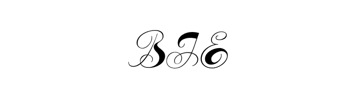 Constanze Initials  Free Fonts Download