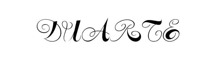 Constanze Initials  Free Fonts Download