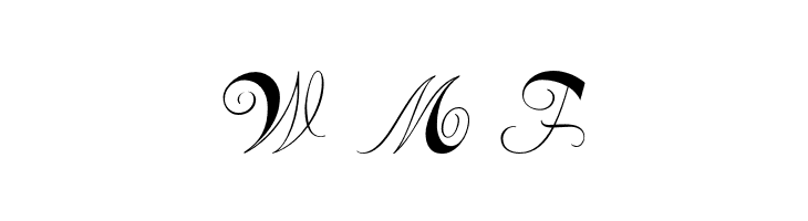 Constanze Initials  Free Fonts Download