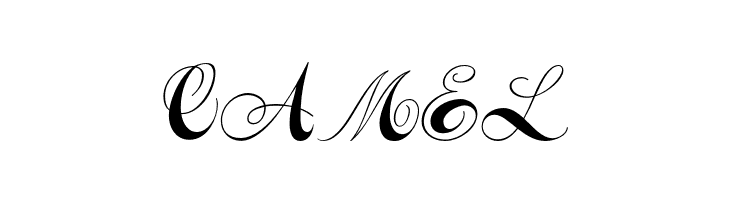 Constanze Initials  Free Fonts Download