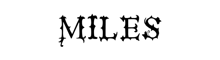 VTKS Black Label Normal  Free Fonts Download