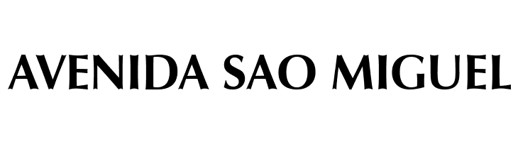 Vera Humana 95 Bold  Free Fonts Download