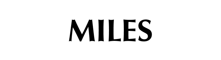 Vera Humana 95 Bold  Free Fonts Download