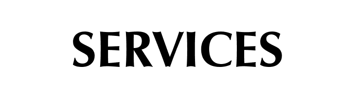 SERVICES Vera Humana 95 Bold Font