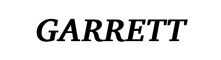 Charis SIL Bold Italic  Free Fonts Download