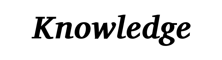 Charis SIL Bold Italic  Free Fonts Download