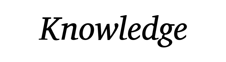 Charis SIL Italic  Free Fonts Download