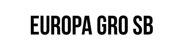 Bebas Neue  Free Fonts Download