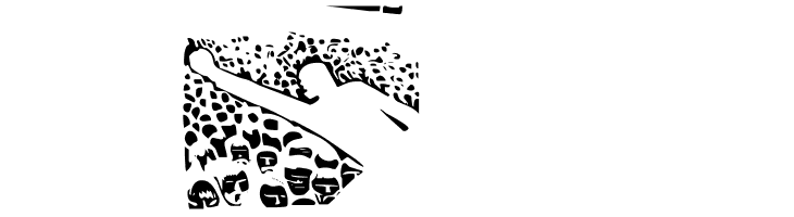 ObeyRevolution  Free Fonts Download